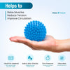 Hard Spiky Massage Ball Roller Set - Blue
